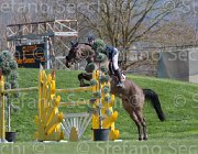 Philippaerts N Rochet TosTour2013- S5 2718 : Arezzo, Arezzo Equestrian Centre, Philippaerts Nicola, Rochet de la Vaulx, Toscana Tour 2013, foto di Stefano Secchi ©
